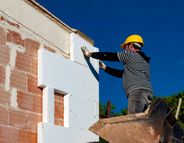 Best Insulation Removal  in Manheim, PA