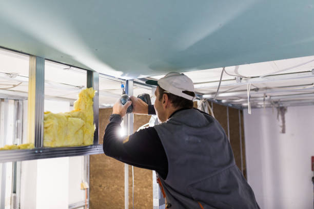 Best Insulation for New Construction  in Manheim, PA