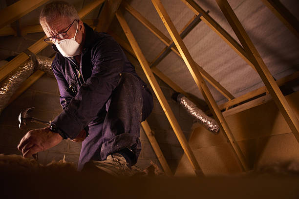 Best Cellulose Insulation  in Manheim, PA
